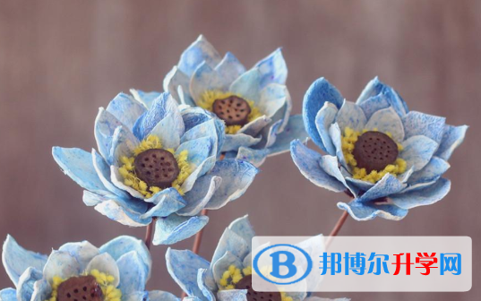 2021年安康中考自主招生報名有哪些學校
