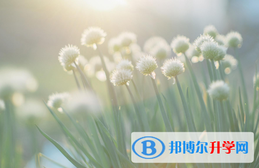 2021年安康中考自主招生考試學校