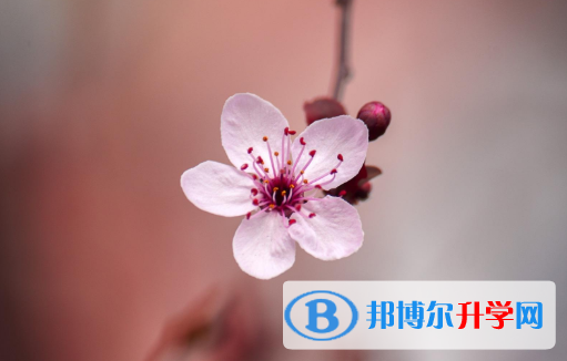 2021年安康今年中考統招線包括哪些區域