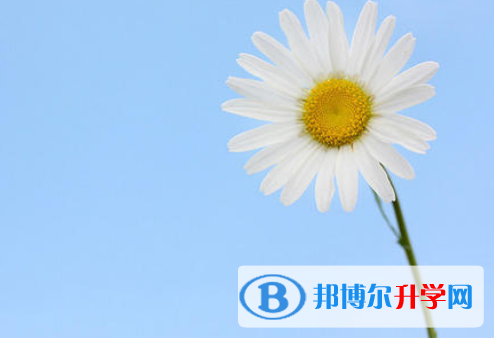 2021年咸陽中考志愿填報網址