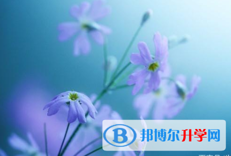 2021年安康中考報名學校