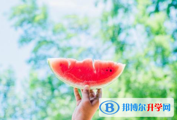 2021年漢中網上查詢中考成績