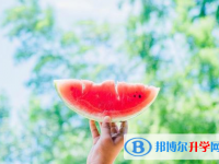 2021年漢中網上查詢中考成績