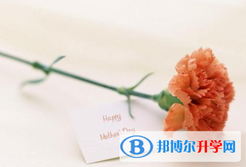 2021年漢中怎樣從網(wǎng)上查詢中考成績(jī)