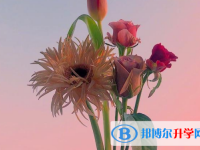 2021年漢中中考報名查詢