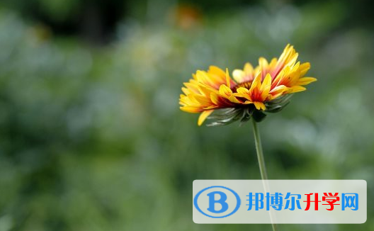 2021年安康中考應(yīng)對(duì)策略