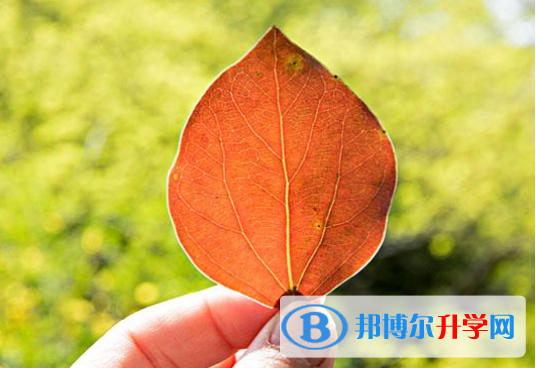 2021年漢中中考成績?nèi)绾尾樵? width=