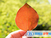 2021年漢中中考成績如何查詢