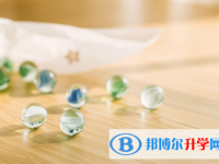 2021年漢中中考成績一般讀什么學校