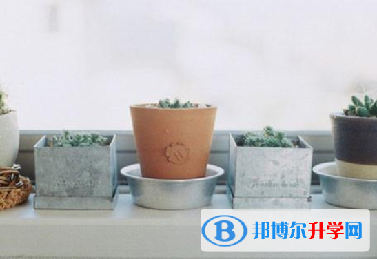 2021年漢中中考看成績是在哪個網(wǎng)站