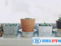 2021年漢中中考看成績是在哪個網站