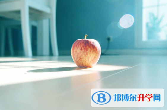 2021年漢中教育網中考查詢