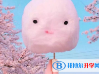 2021年漢中近幾年中考重點線