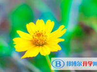 2021年漢中近年中考重點線