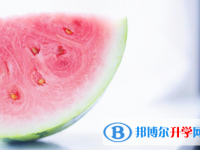 2021年漢中考起重高的人數