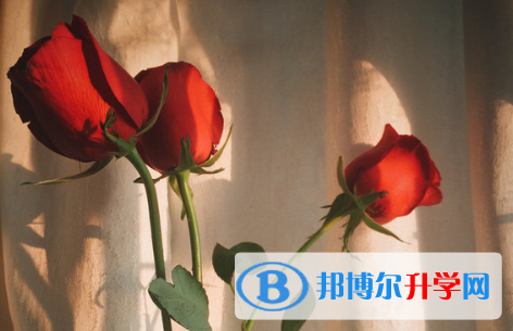 2021年安康中考沒考好