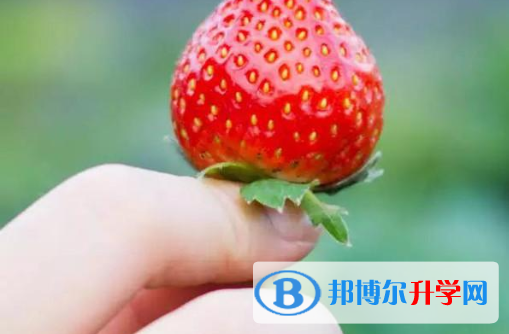 2021年漢中歷年中考重點