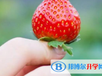 2021年漢中歷年中考重點