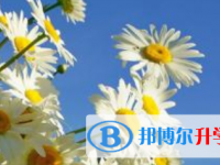 2021年涼山中考考生人數