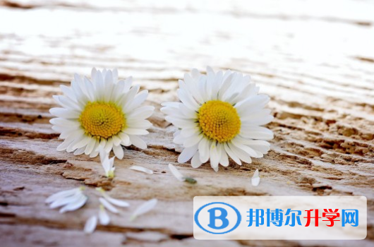 2021年漢中中考報(bào)考攻略