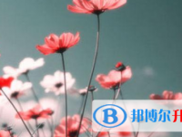 2021年涼山中考錄取時間