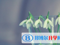 2021年安康中考后可以上什么學校