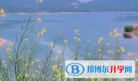2021年安康中考200多的哪些學校要
