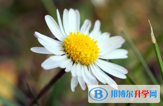 2021年漢中中考報考人數