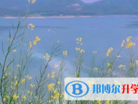 2021年安康中考200多的哪些學校要