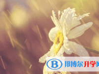 2021年安康中考372可以讀的學校