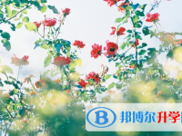 2021年安康中考453可以讀哪些學校