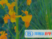 2021年安康這次中考多久結束