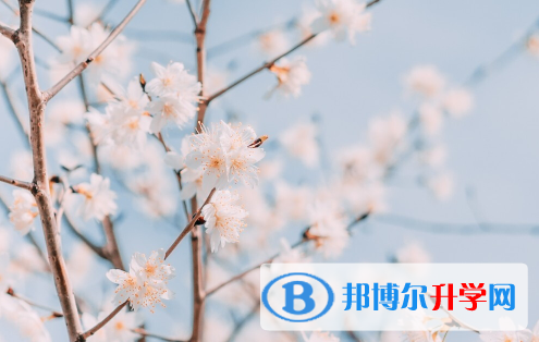 2021年安康今年中考時(shí)間是幾號(hào)