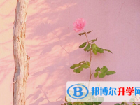 2021年安康什么是中考調劑生