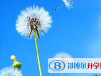 2021年安康未參加中考可以讀啥學校