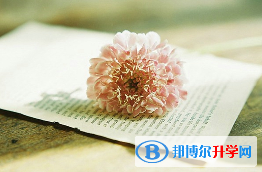 2021年漢中中考查詢電話