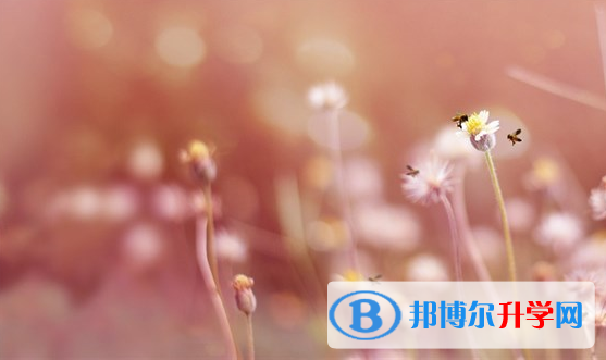 2021年安康優志愿中考版