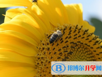 2021年安康中考網上志愿如何打印