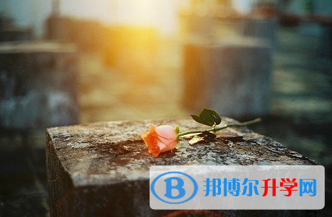 2021年漢中中考服務(wù)應(yīng)用平臺