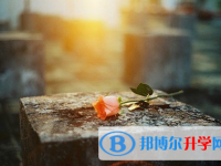 2021年漢中中考服務(wù)應(yīng)用平臺(tái)