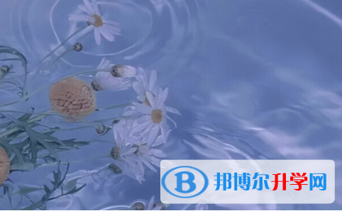 2021年安康中考報名網站是什么
