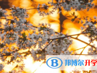 2021年安康中考報名是哪個網站