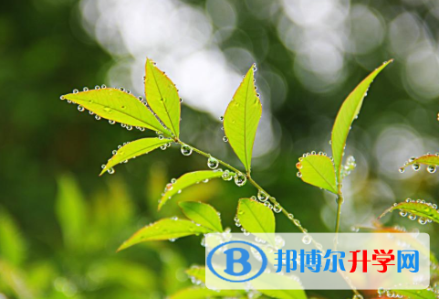 2021年安康中考報(bào)考志愿表
