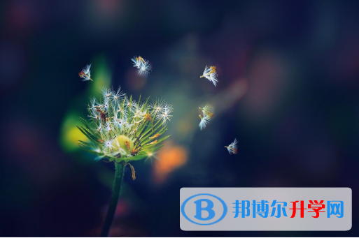 2021年安康中考模擬填報志愿