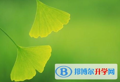 2021年安康中考志愿查詢(xún)