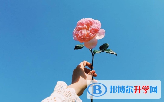 2021年商洛中考錄取查詢入口