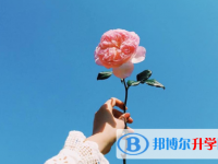 2021年商洛中考錄取查詢?nèi)肟? /><b>2021年商洛中考錄取查詢?nèi)肟?/b><span>2021-02-20 10:19</span><p>每年中考結(jié)束后，對(duì)于考生和家長(zhǎng)來(lái)說(shuō)最重要的就是錄取結(jié)果查詢。當(dāng)同學(xué)們?cè)诓樵兊阶约焊咧袖浫〗Y(jié)果之后，也可以登陸告高中院校的</p></a></h3></li>
<li><h3><a href=