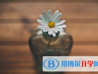 2021年安康中考志愿如何填報(bào)