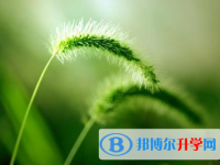 2021年安康中考志愿填報(bào)表