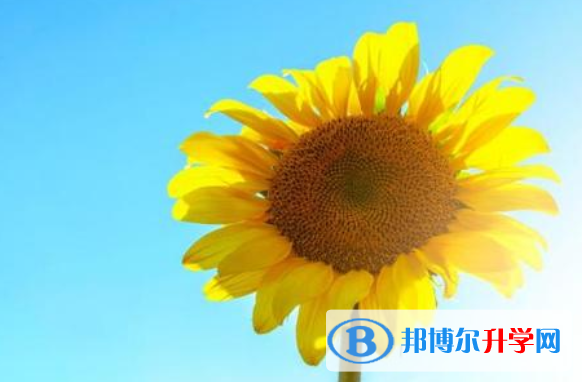 2021年商洛中考錄取結果查詢